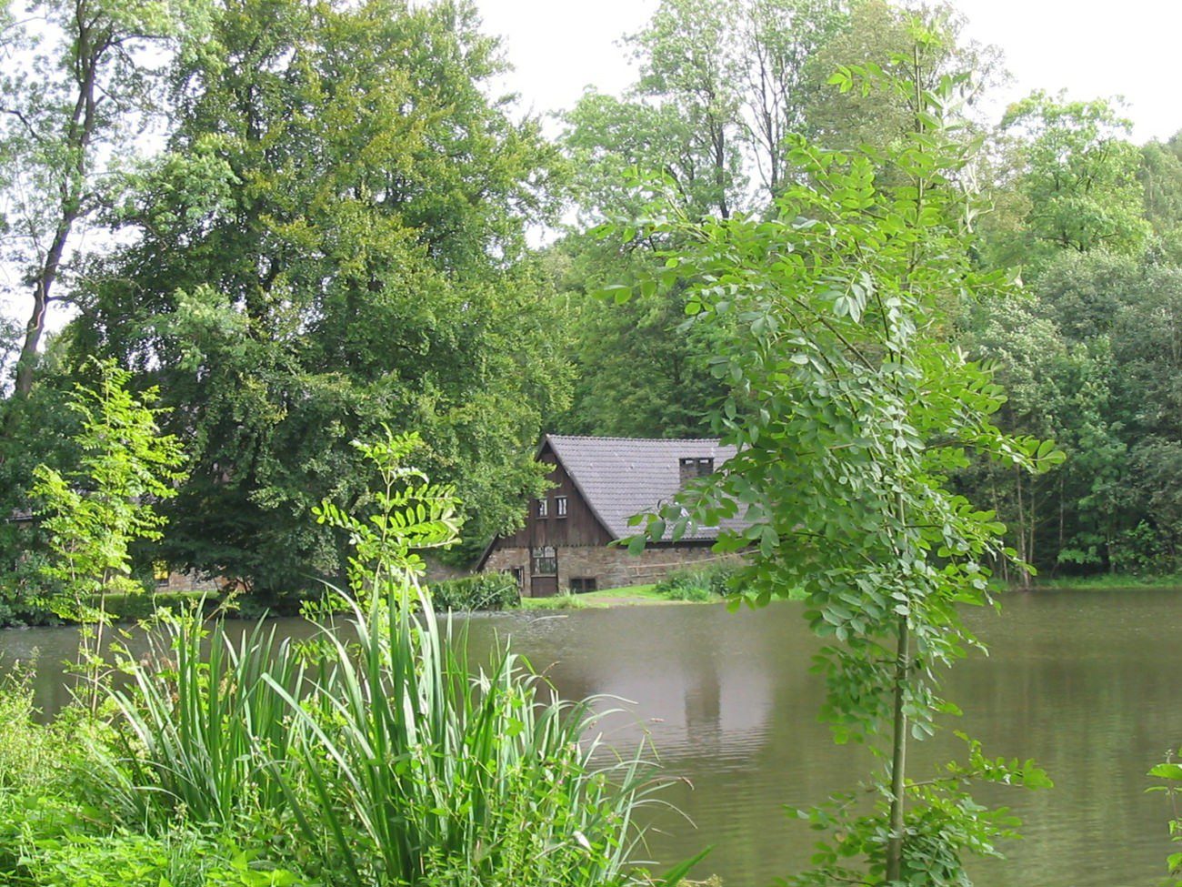 Hammerwerk - Blick über den Teich - Museum Wendener Hütte