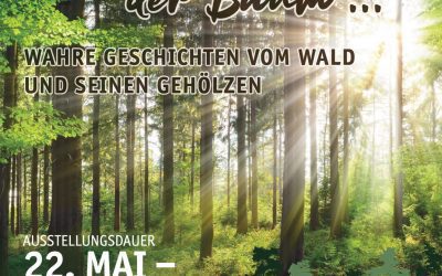 22. Mai 22 Ausstellungseröffnung: „Mein Freund der Baum“, Holz in Natur, Handwerk und Kunst.