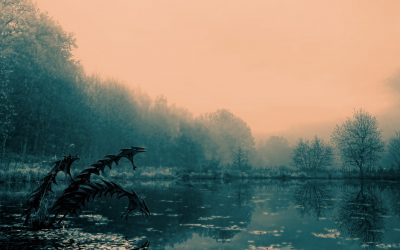 Dunkelführung, eine Veranstaltung für starke Nerven